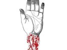 Converge - You Fail Me - Redux LP - vinyl NEW