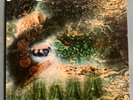 Pink Floyd- Saucerful Of Secrets UK First Press Mono EX+/NM (misprinted Label)
