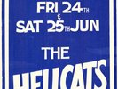The Hellcats 1977 Poster (Radio Birdman, Hoodoo Gurus, Died Pretty, New Christs)