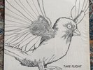 TAKE FLIGHT S/T LP ORIG US Private press IN SHRINK MONSTER PSYCH FOLK MONTCO