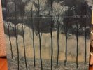 CAMERA OBSCURA - DESIRE LINES NEW VINYL SIGNED BY BAND