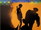FLAMING LIPS- The Soft Bulletin 2-LP (NEW EU Vinyl Reissue) 1999 Album