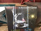 Panic At The Disco All My Friends Were Glorious Death of a Bachelor Tour Live LP