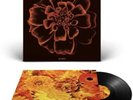 Siouxsie and the  Banshees - All Souls - 180 Gram Vinyl LP In Hand Ships Fast