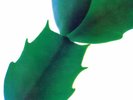 Hiroshi Yoshimura - Green - LP