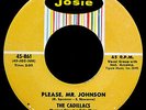 THE CADILLACS-Please Mr. Johnson & Cool It Fool-A Great Doo Wop 45-JOSIE #861