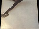 WISHBONE ASH S/T VINYL LP