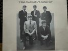The Yardbirds - A Certain Girl/ I Wish You  Would Picture Sleeve