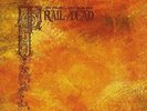 And You Will Know Us by the Trail of Dead - Source Tags & Codes (Orange Vinyl)