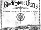 Between The Devil & The Deep Blue Sea - Black Stone Cherry (LE Vinyl, 2019)