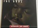 ICE CUBE Feat  DAS EFX - Check Yo Self / It Was A Good Day  12