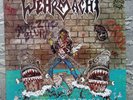 Wehrmacht - Shark Attack - NM Vinyl LP - 1987 Shark Records 002 Thrash Metal