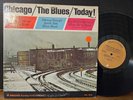 Chicago The Blues Today  Vol 3 Johnny Young Johnny Shines Big Walter Horton 1966