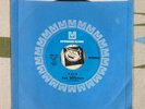 The Mystics 45 Pain / But It's Alright 1969 Minnesota EX