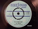 THE TERMITES -  DO IT RIGHT NOW   (ROCKSTEADY)  45