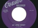 ECHOES - My Little Honey / Aye Seniorita - COMBO - Doo Wop R&B Poets 45