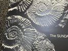 The Sundays - Reading Writing & Arithmetic -  printed vinyl