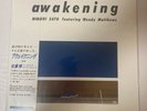 Hiroshi Sato Awakening Featured by Wendy Matthews Special Edition 2023 Vinyl LP