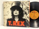 T. Rex - The Slider LP - Reprise MS 2095 - Tested VG+ Vinyl Original Gatefold S8