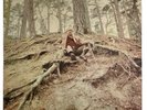 PHOTO INSERT ONLY - Lord Of The Rings J.R.R. TOLKIEN LP from Bo Hansson