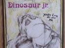 Dinosaur Jr You're Living All Over Me original vinyl LP