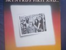 Vintage Lynyrd Skynyrd's First And Last Vinyl LP 1978 Mint Condition