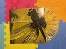 Coheed and Cambria The Second Stage Turbine Blade Vinyl LP Yellow Black Splatter