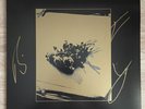 Foals - Life Is Yours (Life Is Dub) – SIGNED 12