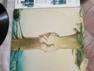 NOMADI Ma noi no LP  Originale prima stampa 1992 Italy