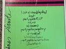 Temps Vinyl Party Gator Purgatory Neon Green And Pink Signed By James Acaster