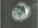 Brendan Perry Eye Of The Hunter NEAR MINT 4AD Vinyl LP