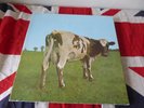 PINK FLOYD: Atom Heart Mother  LP GATEFOLD 1970 French HARVEST 1978 STUNNING NM