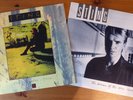 2 Sting original vinyl LPs-1993 Ten Summoner's Tales/1985 Dream of blue Turtles