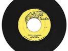 SLICKERS / JOHNNY TOO BAD / VERSION / 7''