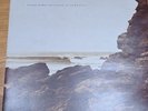 Polygon Window - Surfing On Sine Waves LP