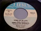 Unrelated Segments - NM VINYL & EX AUDIO - Story Of My Life (1967 Garage Rock)