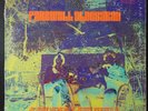 Judy Henske & Jerry Yester - Farewell Aldebaran STS1052 rare PSYCH vinyl LP VG+