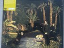 Echo and The Bunnymen Evergreen GREEN vinyl Rough Trade Shops LP # 1000 / 1000