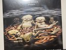 LIMP BIZKIT Chocolate Starfish & The Hot Dog Flavored Water Brown Clear VINYL