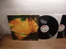 Julian's Treatment – A Time Before This  DLP 1970 psych prog Young Blood
