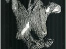 LP & CD Oceansize Self Preserved While The Bodies Float Up NEAR MINT Superbal