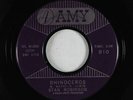 R&B Soul Popcorn 45 - Stan Robinson - Rhinoceros - Amy