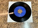 Sheffields - Please Come Back To Me  1965 MICHIGAN GARAGE ROCK 45 DESTINATION