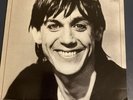 Iggy Pop Lust For Life  Album Vinyl LP  Record Germany Pressing RCA Black Label