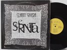 Danny Rivera LP “Serenata”   Pina Records   VG++ Latin Bolero Ballad