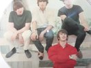 The Beatles Vinyl Picture Disc Talk With Jerry G #2 LP