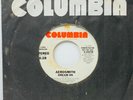 PROMO Aerosmith – Dream On - Original 1973 US Press Hard Rock 45 rpm Single