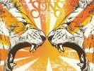RIVAL SONS - Before The Fire - Vinyl (translucent orange vinyl LP)
