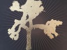 The Joshua Tree by U2 (Record, 2017)