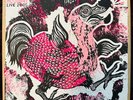 Melvins Houdini Live 2005 Art Edition Am Rep Nirvana Dbl LP Haze XXL AMREP Mint